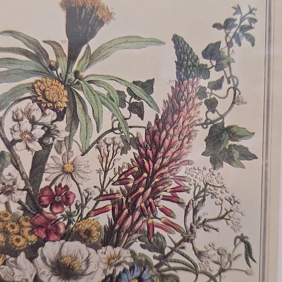 Robert Furbe's Twelve Months Of Flowers Framed Floral Art Print with Gold Frame - Picture 8 of 11